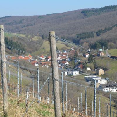 Auen und Umgebung 05