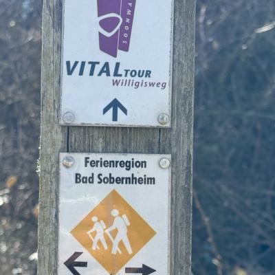 Auen und Umgebung 08