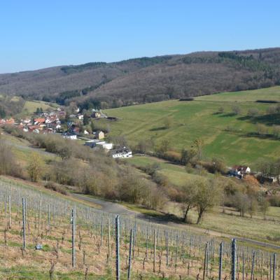 Auen und Umgebung 14