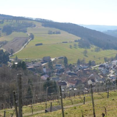 Auen und Umgebung 18